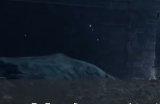 《艾尔登法环》传说武器位置在哪 传说武器收集大全