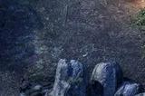 黑曜石CRPG《永恒之柱》即将推出回合制战斗模式