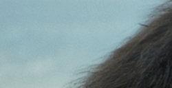 《猩球崛起4》超级碗预告 5月10日北美上映