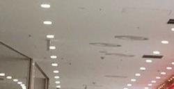 中国家电品牌成为日本新生活主力