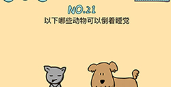 脑力黑洞第21关攻略  以下哪些动物可以倒着睡觉