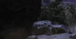 艾尔登法环荒废废墟位置在哪 荒废废墟全流程图文攻略