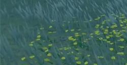 宝可梦朱紫教师事件触发条件全攻略