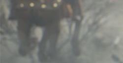 《真・三国无双 起源》武将/战斗/武器官方最新资讯！