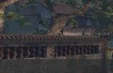 《逆水寒手游》扬威点怎么快速获得 快速获取扬威点方法详情