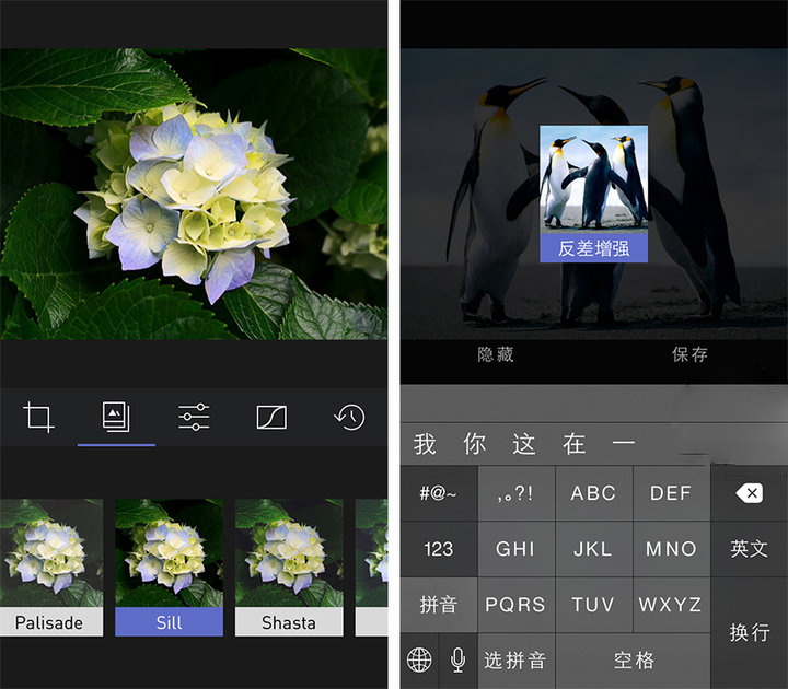 应用日推荐  用「曲线」向高阶修图迈进《Darkroom》