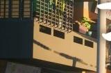 《龙眠的夏天》一起重温一次童年记忆中的那个夏天