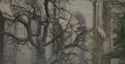 《艾尔登法环》下水道毒树精BOSS图鉴