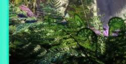 《阿凡达：潘多拉边境》大更新12月上线：第三人称、新游戏+