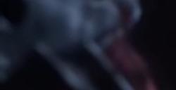 科隆：《堕落之主》新预告公布 大战魔物画面绚丽