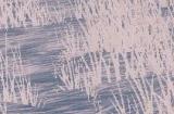 签到领坐骑、完成任务送永久时装！《天下贰》这些福利你领了吗？