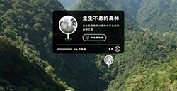 应用日推荐  通过AR带你走进森林《WWF森林》