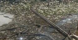 艾尔登法环彗星亚兹勒在哪​​​​​​​ 传说魔法彗星亚兹勒获取位置详情
