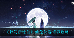 梦幻新诛仙仙兔侠客怎么应该怎么培养仙兔侠客培养攻略