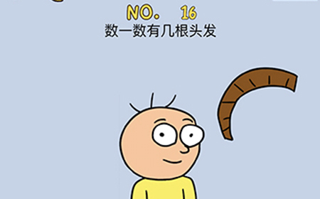 最强的脑洞第16关攻略  数一数有几根头发