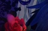 纳萨力克之王b服是官服吗 b站是官服还是渠道服