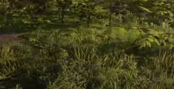 《荒野大镖客2》动物落基山脉母麋鹿在哪里找