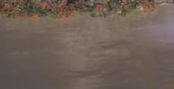 《艾尔登法环》水唤村提比亚的唤声船BOSS图鉴