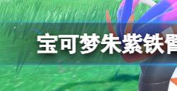 宝可梦朱紫六星坑铁臂膀侠怎么搭配  铁臂膀侠六星坑打法心得