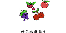 谐音梗挑战第15关攻略什么水果最土