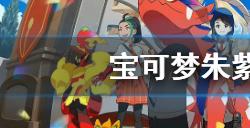 宝可梦朱紫炭小侍性格选择什么  炭小侍性格推荐