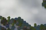 《Nordhold》游戏官网地址介绍