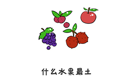 谐音梗挑战第15关攻略  什么水果最土