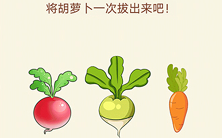 大脑转转转第20关攻略  将胡萝卜一次拔出来吧