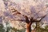 顾问都看傻了 任天堂在《幻兽帕鲁》专利诉讼中出险招