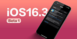 iOS 16.3 Beta 1带来了哪些更新？ 带你了解3大全新变化
