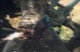 《龙之信条2》水边的蜥蜴任务怎么做 水边的蜥蜴支线任务攻略