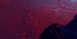 《雾锁王国》为什么瘴气停留时间很短