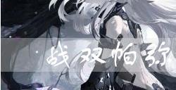 战双帕弥什机韵好用吗