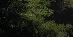 《极限竞速8》庆祝系列20周年 经典赛道富士见山道5月上线