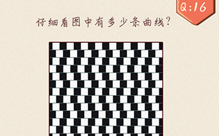 最强脑洞大开第16关攻略  仔细看图中有多少条曲线