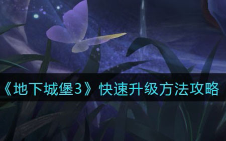 地下城堡3魂之诗怎么快速升级  快速升级方法攻略