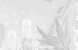 崩坏星穹铁道希露瓦遗器词缀光锥搭配推荐 希露瓦强化材料