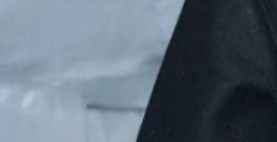 《黑神话》杨奇和刘亦菲合影 她要出演DLC吗？