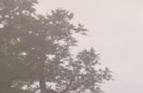 《雾锁王国》北境守卫靴子在哪里获得