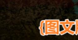 《苏丹的游戏》绣娘强化角色属性介绍