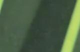 游戏崩了别慌！英伟达发布576.66驱动修复多款游戏问题