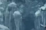 《怪物猎人：荒野》新TVCM 雪狮子王确定回归