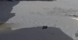 《艾尔登法环》巨人山顶死亡仪式鸟BOSS图鉴