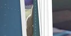 《星痕共鸣》实机PV首曝 欢迎来到雷格纳斯