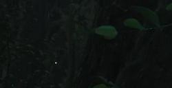 《明末：渊虚之羽》新视频及截图：招式展示 画面超美