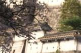 《刺客信条：影》季节影响很大！将带来天气状况和地形变化