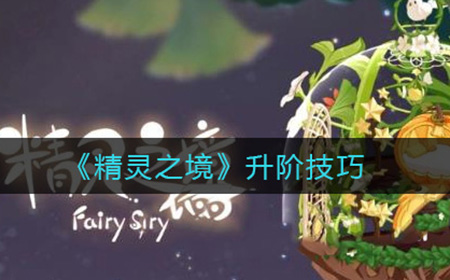 精灵之境如何快速升阶  升阶技巧