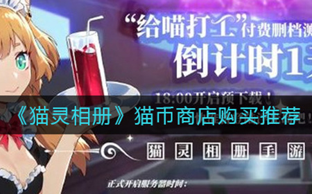 猫灵相册猫币商店买什么  猫币商店购买推荐