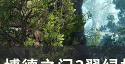 《博德之门3》任务调查卡哈怎么完成 翠绿林地调查卡哈任务攻略
