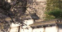 《刺客信条：影》首个补丁发布 PC版容量7GB